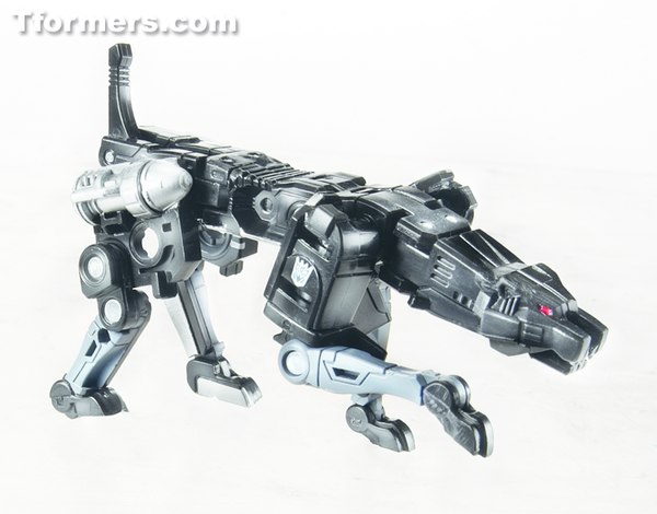 311420 Transformers Masterpiece Ravage (6 of 11)